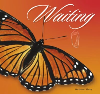 Waiting_2023