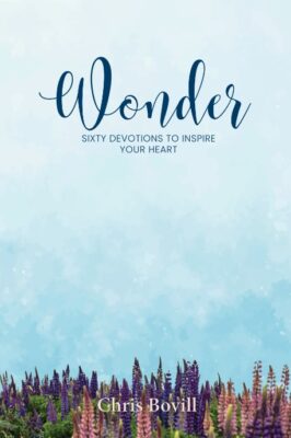 Wonder