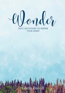 Wonder